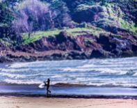 Surfer near Cannon Beach